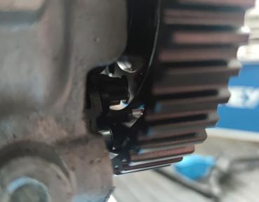 Billet AUDI Nockenwellenrad verstellbar RS2 / S2  / S6 5 Zylinder 20V Timing Gear einstellbar / ABY ADU AAN